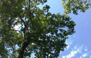 Trăiește-ți viața din plin!