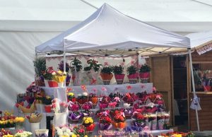 “Azi e Dragobetele, se sărută fetele!” Flori Dragobete