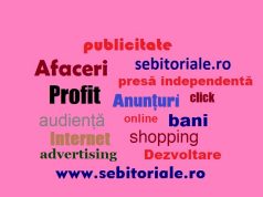 Afaceri + Publicitate + Sebitoriale = Profit! Publicitate pe Sebitoriale.ro