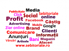 Tu ce zici, ai nevoie de publicitate? Publicitate Sebitoriale