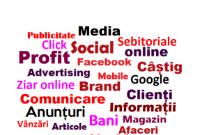 Tu ce zici, ai nevoie de publicitate? Publicitate Sebitoriale