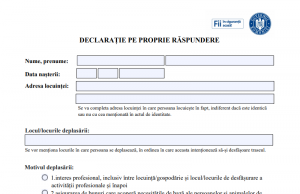 Model nou al declarației pe propria răspundere declarație pe propria răspundere