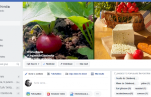Producătorii locali au grup pe Facebook: ”Piața Chindia” Grup Facebook Piața Chindia