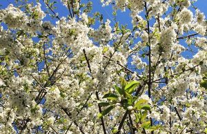 Pe cine ai întrebat azi: ”Cu ce pot să te ajut?”