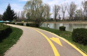 Plimbările prin parc mai pot să aștepte!