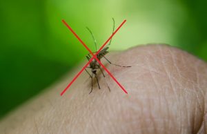 ANUNȚ – PRIMA ACȚIUNE DE DEZINSECȚIE DIN ACEST AN