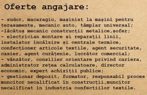 Vrei angajare? Iată oferta de locuri de muncă din Dâmbovița!