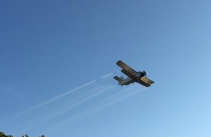 Astăzi are loc a 3-a acțiune de combatere din avion a insectelor de disconfort!