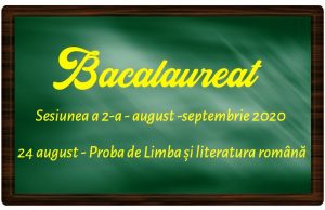 Bacalaureat, sesiunea a 2-a. În Dâmbovița, 337 de candidați susțin azi proba de Limba și literatura română