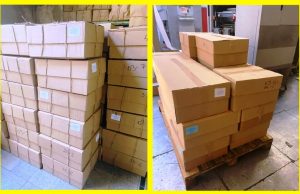 ”Următoarele pensii vor ajunge și mărite și la timp”, afirmă Violeta Alexandru, Ministrul Muncii și Protecției Sociale