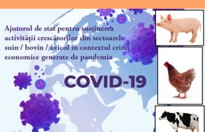 Crescătorii de păsări, porci și vite pot solicita ajutor de la stat prin APIA Dâmbovița