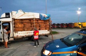 Captură a inspectorilor antifraudă de aproape 2,5 tone de tutun brut ce tranzita clandestin țara