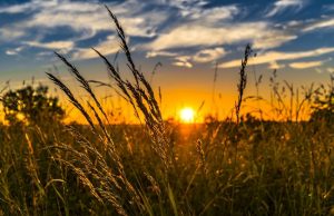 Toamna e ca vara! 1 septembrie, zi caniculară cu avertizare meteo cod galben!