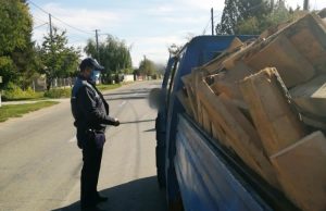 Controale în Dâmbovița la transporturile de masă lemnoasă, 204 amenzi date