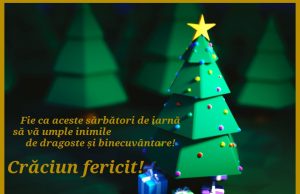 Sebitoriale.ro vă urează să aveți un Crăciun fericit!