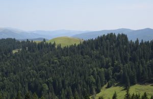 O nouă etapă pentru elaborarea Planului Urbanistic Zonal al Stațiunii Turistice de Interes Național Peștera-Padina