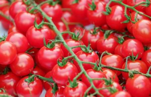 Până pe 20 iulie APIA primește cererile de accesare a schemei de ajutor de minimis pentru producția de legume