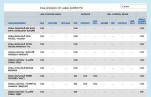 Evaluarea Națională, rezultate finale: 12 medii de 10 obținute după contestații! 2 sunt în Dâmbovița!