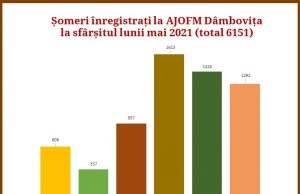 3,19 % – rata şomajului înregistrat în evidenţele AJOFM Dâmbovița în luna mai 2021