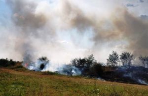 Stop incendiilor de vegetație! Numai ieri au fost 7 incendii de vegetație în Dâmbovița!