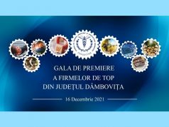 A avut loc Gala Topul Firmelor din județul Dâmbovița