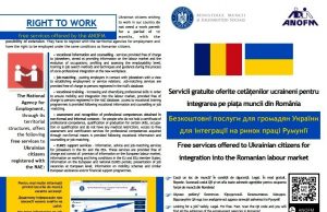 Soluții pentru facilitarea accesului cetățenilor ucraineni pe piața muncii din România