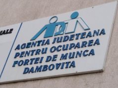 Peste 3800 persoane şi-au găsit un loc de muncă în cele 10 luni parcurse din anul 2023 cu sprijinul AJOFM Dâmbovița