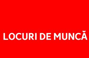 Cauți un job? Sunt 717 locuri de muncă disponibile azi în baza de date AJOFM Dâmbovița!