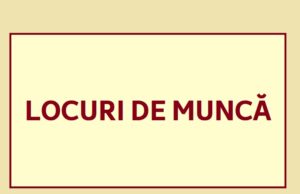 Îți cauți o slujbă? 377 de locuri de muncă sunt azi disponibile în baza de date a AJOFM Dâmbovița!