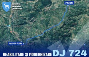 Drumul județean DJ 724, Malu cu Flori – Pucheni, în lungime de 6,7 km, va fi reabilitat și modernizat