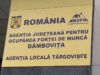 Vrei să te angajezi? 215 locuri de muncă sunt disponibile astăzi în județ, conform AJOFM Dâmbovița!