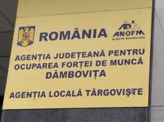 Vrei să te angajezi? 215 locuri de muncă sunt disponibile astăzi în județ, conform AJOFM Dâmbovița!