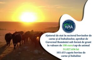 Sprijin financiar în valoare de peste 51 milioane lei pentru crescătorii de bovine