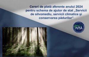APIA primește Cereri de plată aferente anului 2024 pentru schema de ajutor de stat „Servicii de silvomediu, servicii climatice și conservarea pădurilor”