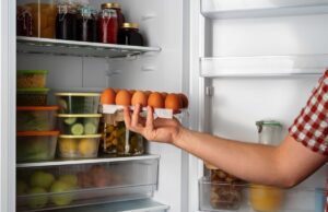 Recomandări DSVSA Dâmbovița pentru evitarea apariţiei toxiinfecţiilor alimentare în perioadele caniculare