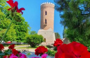 Program special la muzeele Complexului Național Muzeal „Curtea Domnească” Târgoviște în minivacanța de Sfânta Maria (15 – 18 august)