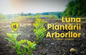 15 martie – 15 aprilie – „Luna Plantării Arborilor”