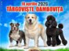 Expoziție internațională de câini și Târg de adopții în Parcul Chindia din Târgoviște