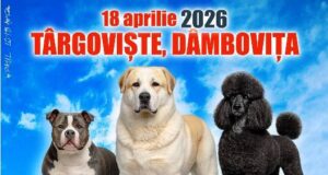 Expoziție internațională de câini și Târg de adopții în Parcul Chindia din Târgoviște