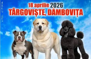Expoziție internațională de câini și Târg de adopții în Parcul Chindia din Târgoviște